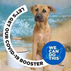 Meet your Posher, Bobbi